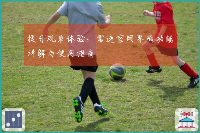 提升观看体验，雷速官网界面功能详解与使用指南