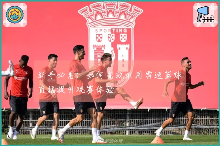 新手必看：如何高效利用雷速篮球直播提升观赛体验