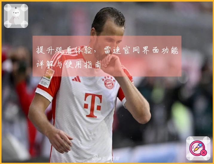提升观看体验，雷速官网界面功能详解与使用指南